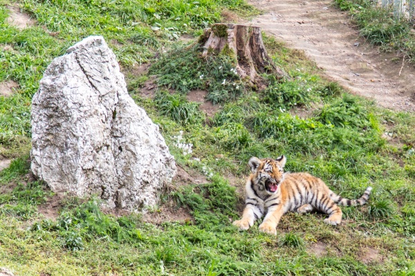 Zoologická zahrada